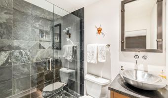 153 W Lupine Dr, Aspen, CO 81611