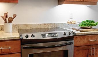 725 E Main St 309, Aspen, CO 81611