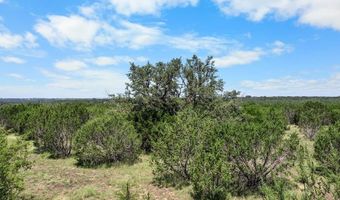 000 CR 539, Hico, TX 76457