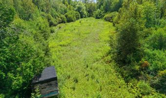 1320 Joseph Rd, Alpena, MI 49707