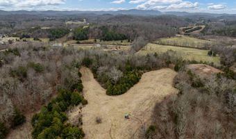 Smithtown Road, Afton, TN 37616
