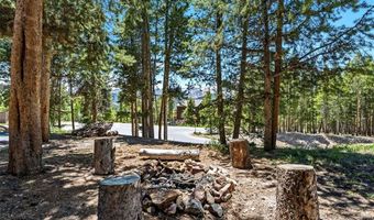 1233 Baldy Rd, Breckenridge, CO 80424