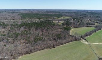 Tract 8 State Route 225, Bethel Springs, TN 38315