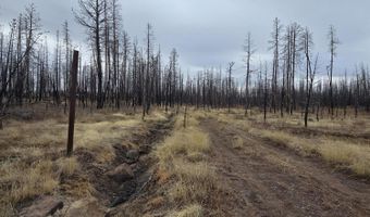 Bull Pine Road 173 Acres, Bly, OR 97622