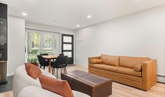 100 E Dean St 1D, Aspen, CO 81611