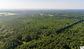 CARPENTER ROAD, Bastrop, LA 71220