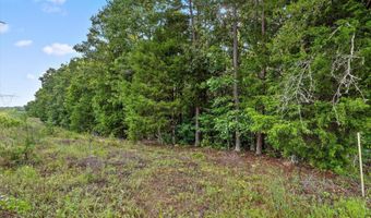 12712 Cranfield Rd, Birchwood, TN 37308
