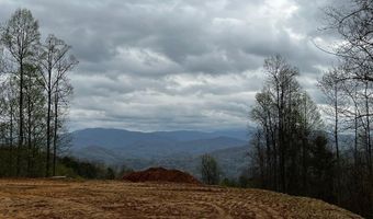 44 Bee Gum Rdg 44, Almond, NC 28702