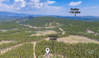 20 Paint Brush Dr, Black Hawk, CO 80422