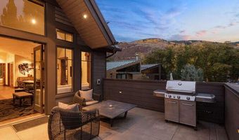 719 E Hopkins Ave 202, Aspen, CO 81611