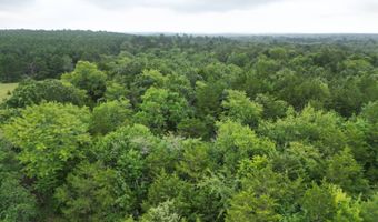 428665 E 1920 Rd, Antlers, OK 74523