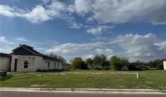 1328 W Franklin Ave, Alton, TX 78573