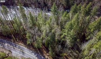 E Barlow Trail Rd, Brightwood, OR 97011