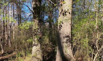 0 Shoal Creek Rd, Ashville, AL 35953