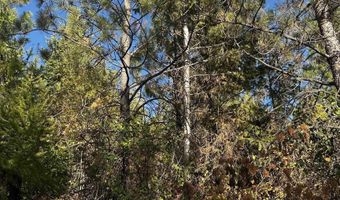 Old CC Rd, Addy, WA 99101