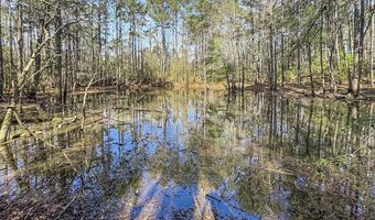 1560 NE Bens Trl, Brookhaven, MS 39601