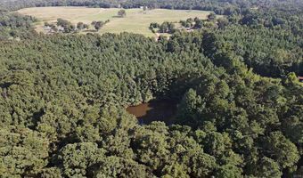 2940 3090 Malvern Rd, Arkadelphia, AR 71923