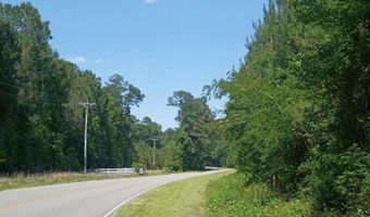 82 Acres Point Caswell Rd, Atkinson, NC 28421