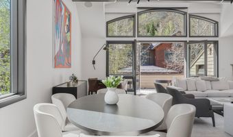 121 W Hyman Ave B, Aspen, CO 81611
