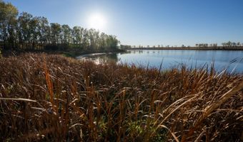 43353 258th St, Bridgewater, SD 57319