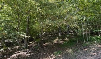 20181 N Fork River Rd, Abingdon, VA 24210