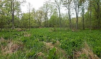 15252 27 Mile Rd, Albion, MI 49224