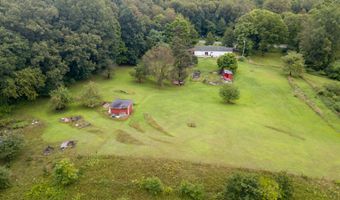 16445 29 Mi Rd, Albion, MI 49224