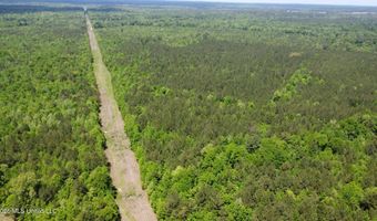 Christian Hts Road, Braxton, MS 39044