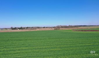 Lot 5 Davis Pond Road, Atmore, AL 36502