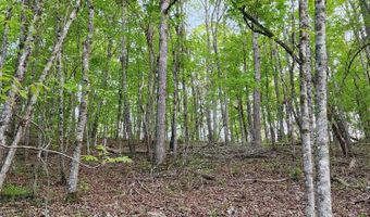 4622 Parker Loop Rd, Birchwood, TN 37308