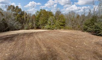 Brush Creek Dr, Akron, AL 35441