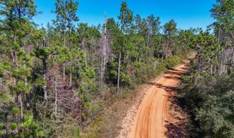 Grand Mesa Avenue, Alford, FL 32420