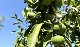 0 Olive Hill Rd, Fallbrook, CA 92028