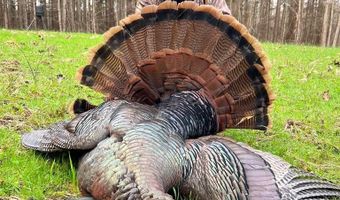 Pleasant Hill Road, Ashland, MS 38603