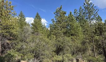 Thunderbear Road 46, Bonanza, OR 97623