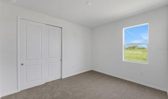 16930 SQUIRREL BRANCH Ln, Alva, FL 33920