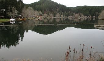 71381 FISHHAWK Rd, Birkenfeld, OR 97016