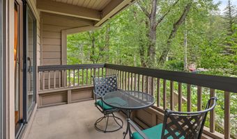 610 S West End St J204, Aspen, CO 81611