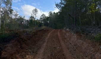 0 Progress Road Rd, Beaumont, MS 39423