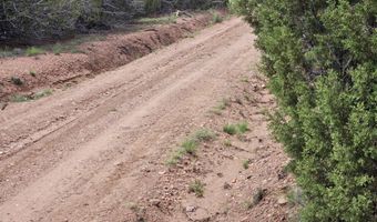 Birdwing Lane, Clay Springs, AZ 85923