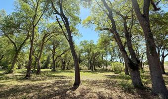 6491 Wolf Pond Rd, Bascom, FL 32423