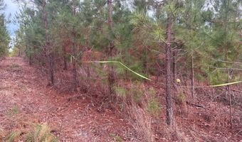 Qbf 12 Nurnberg Dr Road Qbf 12, Batesburg Leesville, SC 29070