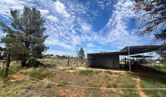 1825 SE 4101, Andrews, TX 79714