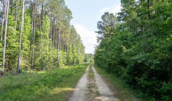 10 AC +/- Gravel Pit Lake Rd, Beaumont, MS 39423