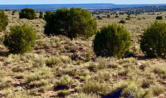 River Meadows Ranch Unit 3 Lot 204, Concho, AZ 85924