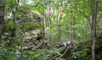 Whiskey Creek Lane, Batesville, AR 72501