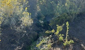 SAND SPRINGS Road, Dyer, NV 89010