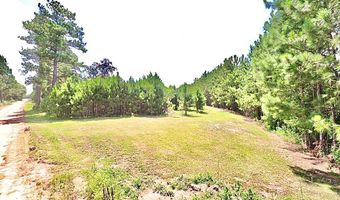 13 89 Ac Lumby Smith & Hwy 37, Adel, GA 31620