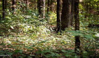 Cypress Pointe Drive lot 17, Brooksville, MS 39739