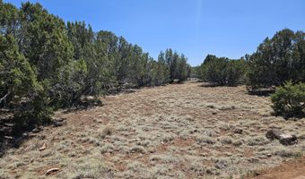 Tbd N8060, Concho, AZ 85924